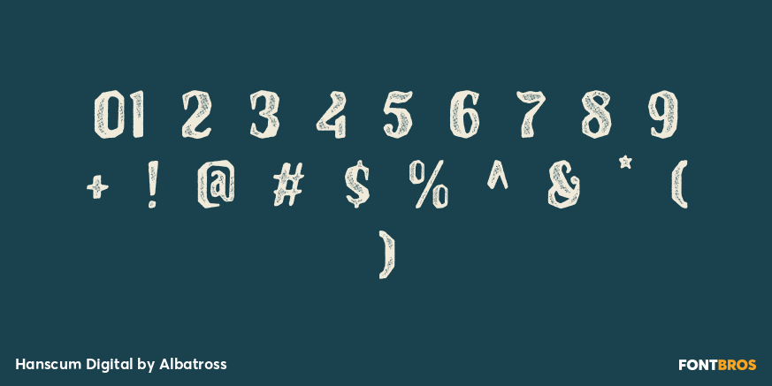 Hanscum Digital Font Poster #1