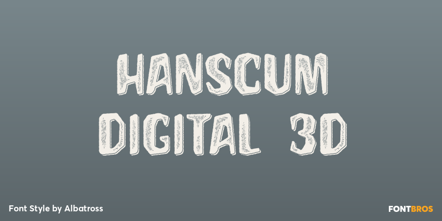 Hanscum Digital 3D Poster
