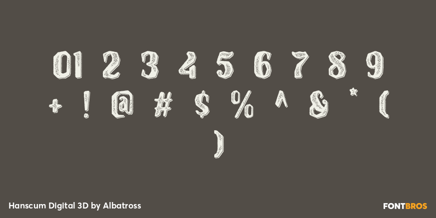 Hanscum Digital 3D Font Poster #4