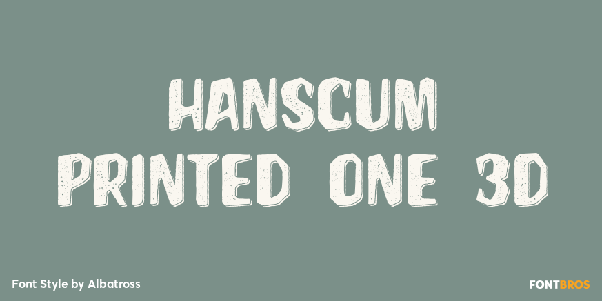Hanscum Printed One 3D Poster