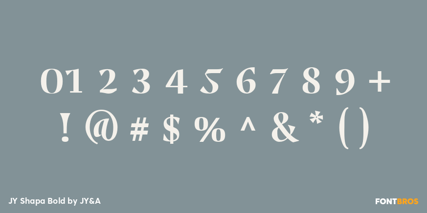 JY Shapa Bold Font Poster #4