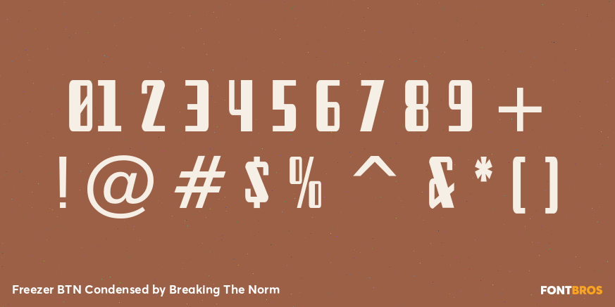 Freezer BTN Condensed Font Poster #4