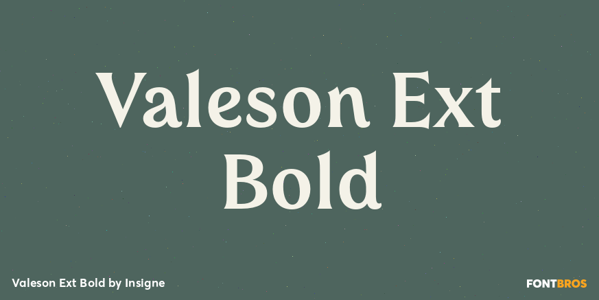 Valeson Ext Bold Font Poster #1