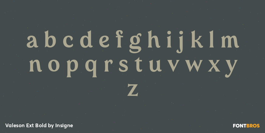 Valeson Ext Bold Font Poster #3