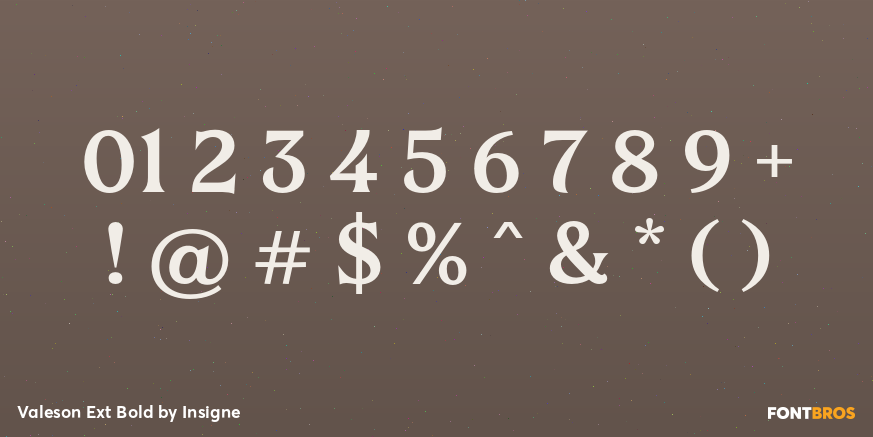 Valeson Ext Bold Font Poster #4