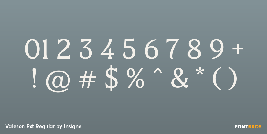 Valeson Ext Regular Font Poster #4