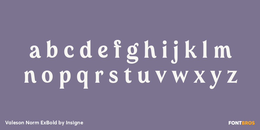 Valeson Norm ExBold Font Poster #3