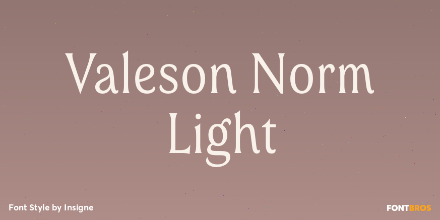 Valeson Norm Light Font Poster #1