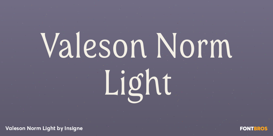 Valeson Norm Light Font Poster #1