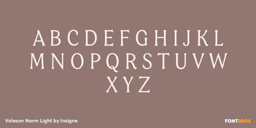 Valeson Norm Light Font Poster #2