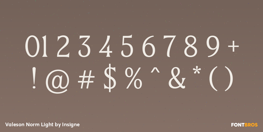 Valeson Norm Light Font Poster #4