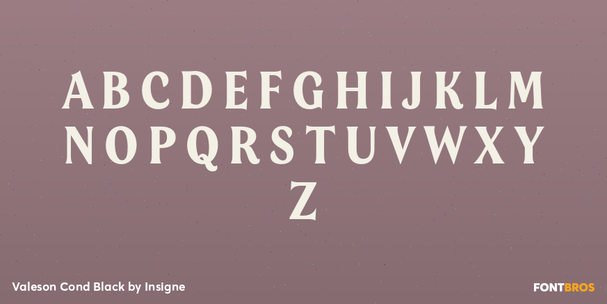 Valeson Cond Black Font Poster #2