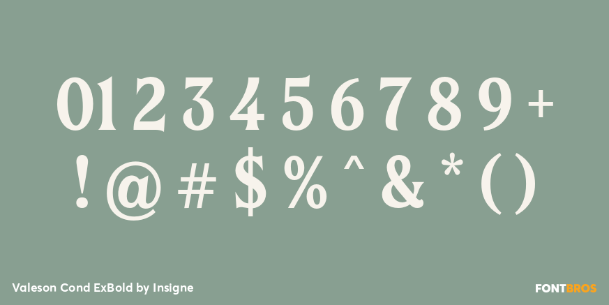 Valeson Cond ExBold Font Poster #4