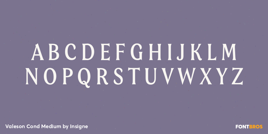 Valeson Cond Medium Font Poster #2