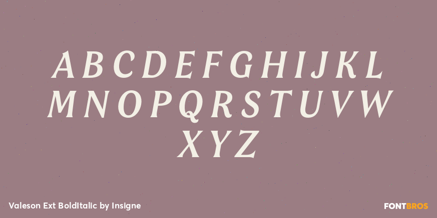 Valeson Ext BoldItalic Font Poster #2