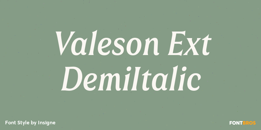 Valeson Ext DemiItalic Poster