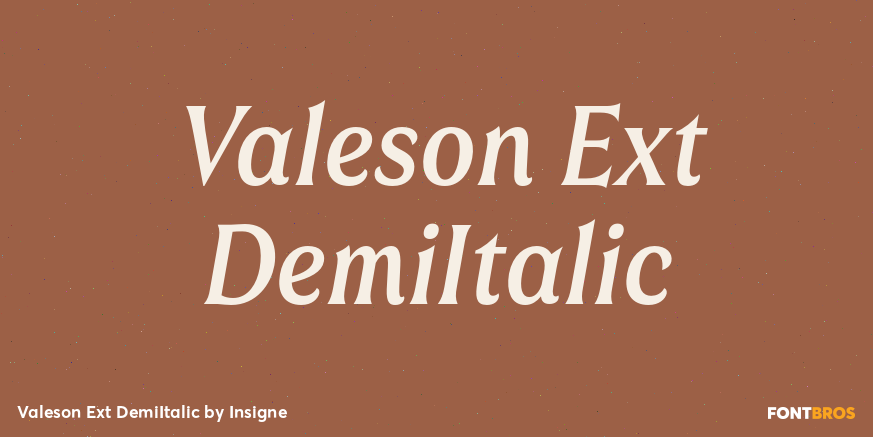 Valeson Ext DemiItalic Poster