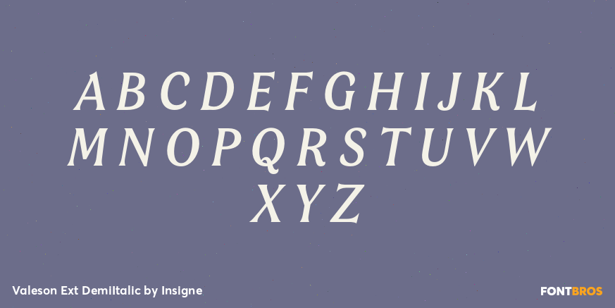 Valeson Ext DemiItalic Font Poster #1