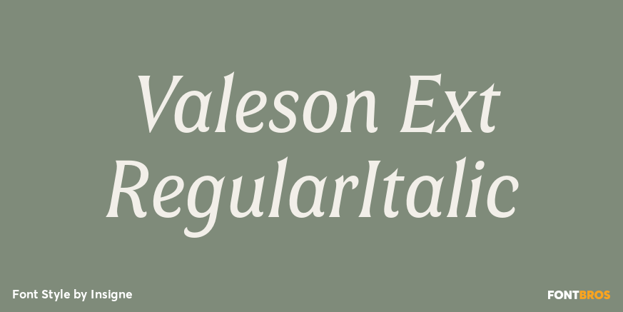 Valeson Ext RegularItalic Poster