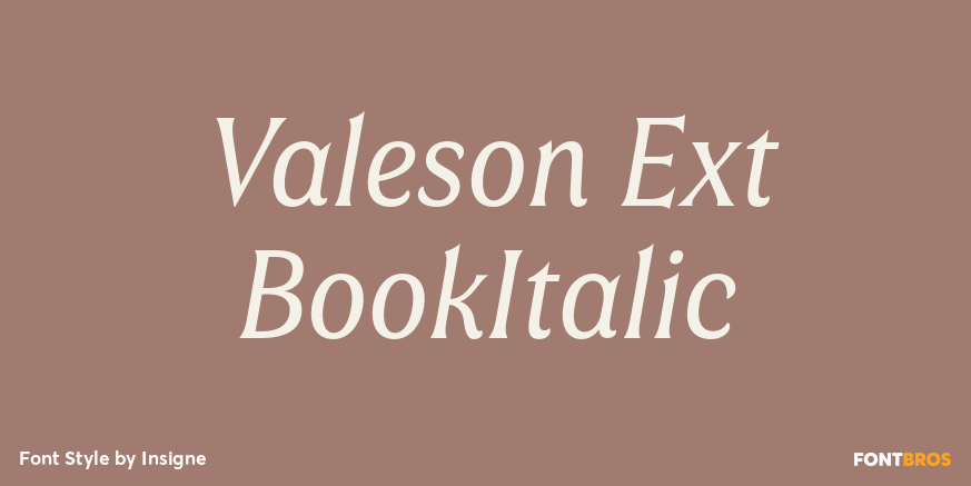 Valeson Ext BookItalic Poster