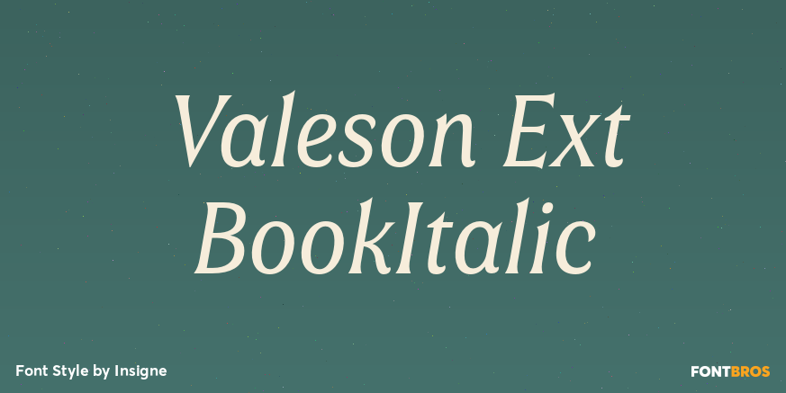 Valeson Ext BookItalic Poster