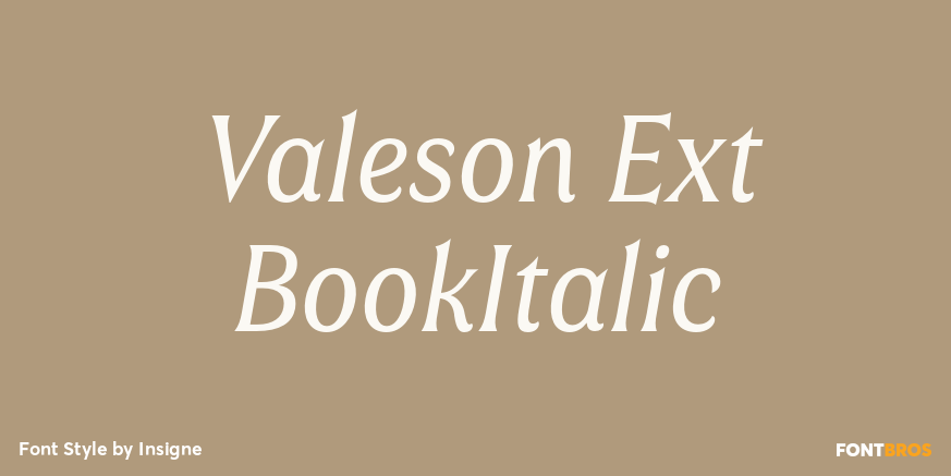 Valeson Ext BookItalic Poster