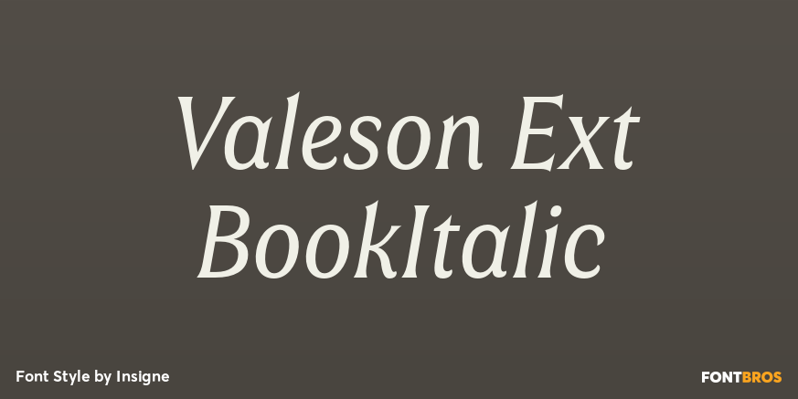 Valeson Ext BookItalic Poster