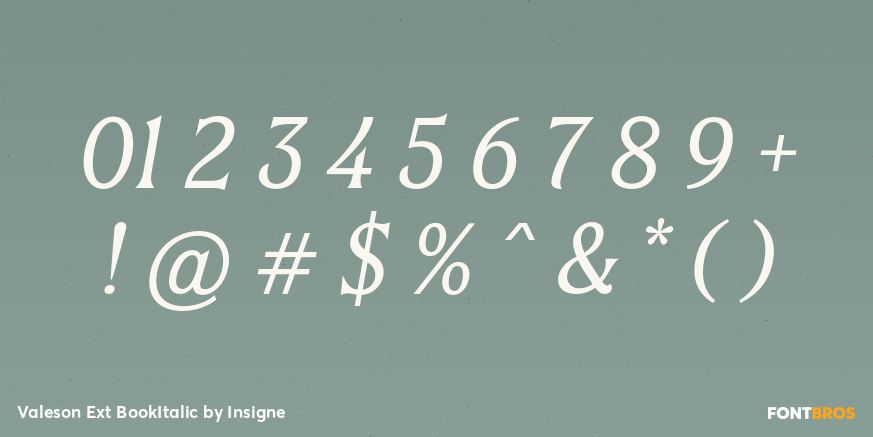 Valeson Ext BookItalic Font Poster #1