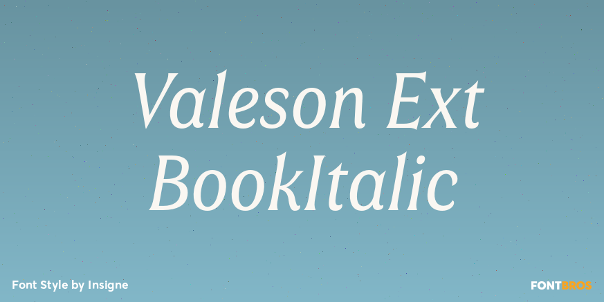 Valeson Ext BookItalic Poster