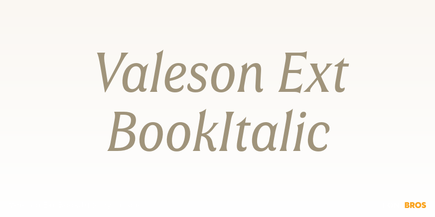 Valeson Ext BookItalic Poster