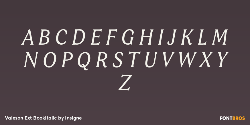 Valeson Ext BookItalic Font Poster #1