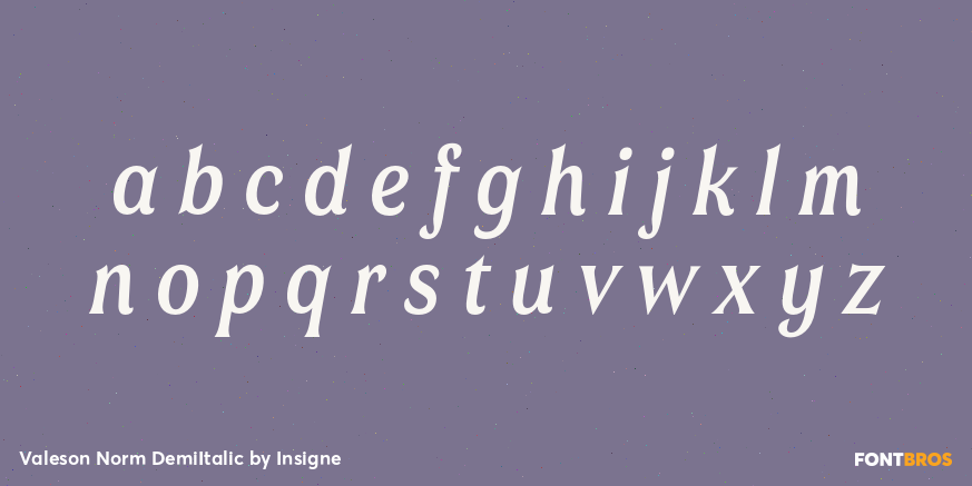 Valeson Norm DemiItalic Font Poster #3