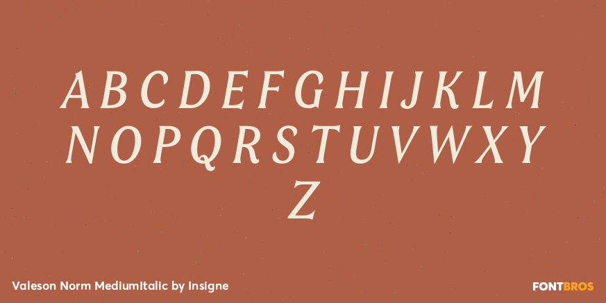 Valeson Norm MediumItalic Font Poster #1