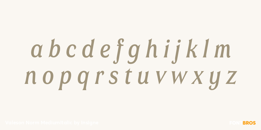 Valeson Norm MediumItalic Font Poster #1