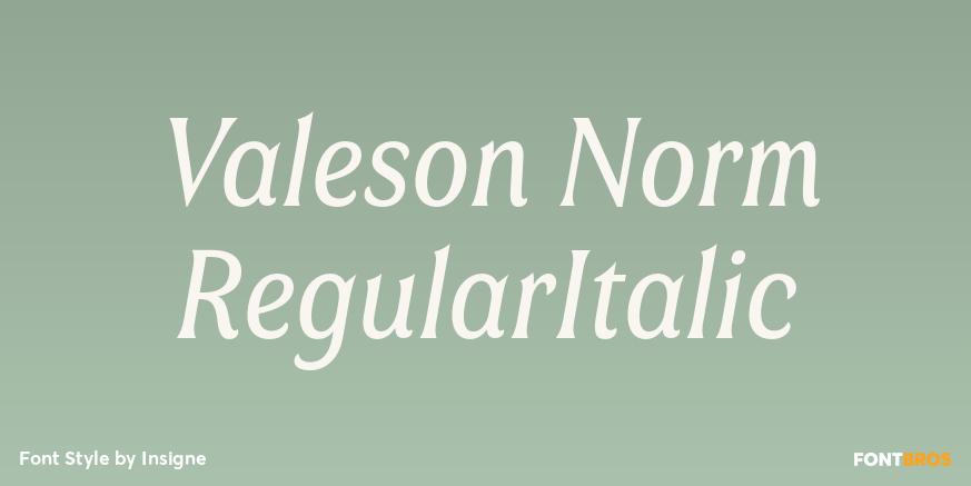 Valeson Norm RegularItalic Poster