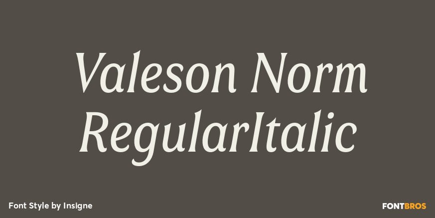 Valeson Norm RegularItalic Poster