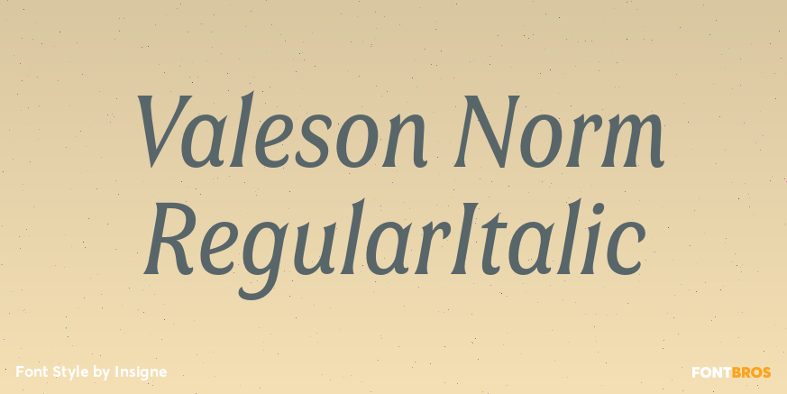 Valeson Norm RegularItalic Poster
