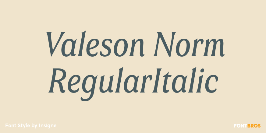 Valeson Norm RegularItalic Poster