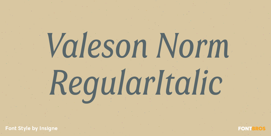 Valeson Norm RegularItalic Poster