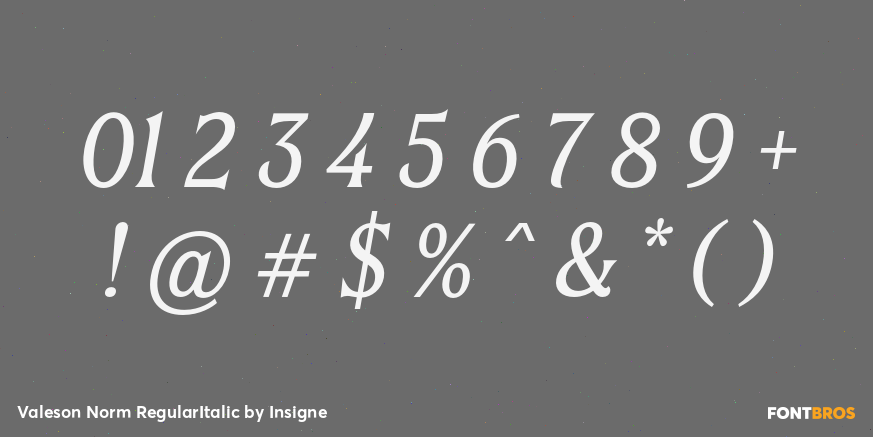 Valeson Norm RegularItalic Font Poster #1