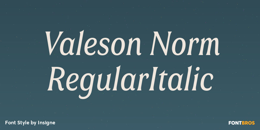 Valeson Norm RegularItalic Poster