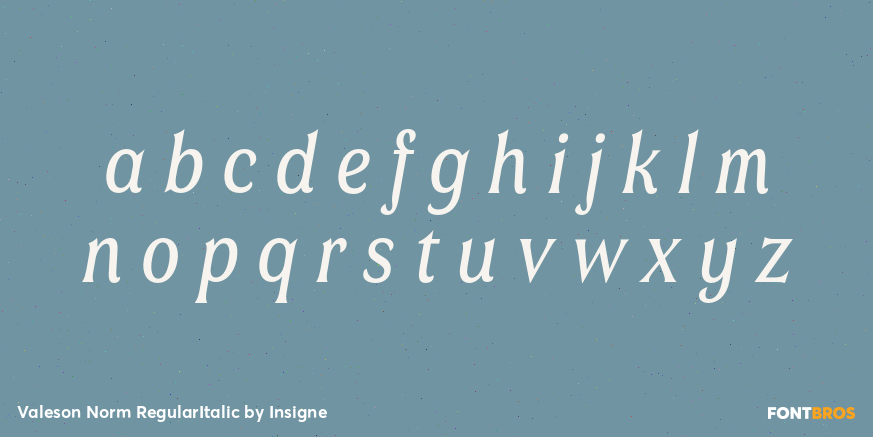 Valeson Norm RegularItalic Font Poster #3