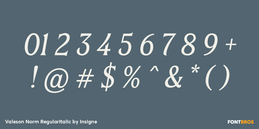 Valeson Norm RegularItalic Font Poster #4