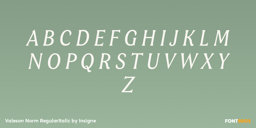 Valeson Norm RegularItalic Font Poster #1