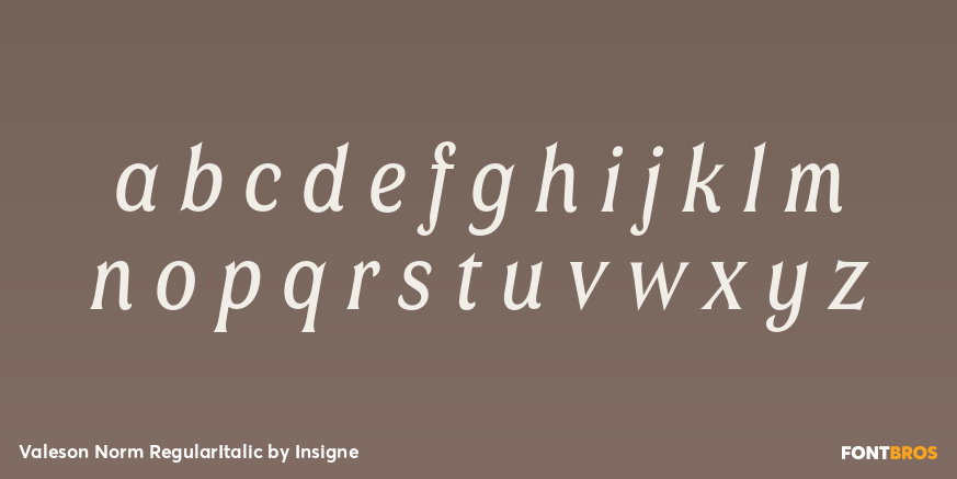 Valeson Norm RegularItalic Font Poster #1