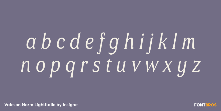 Valeson Norm LightItalic Font Poster #3