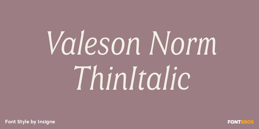 Valeson Norm ThinItalic Poster