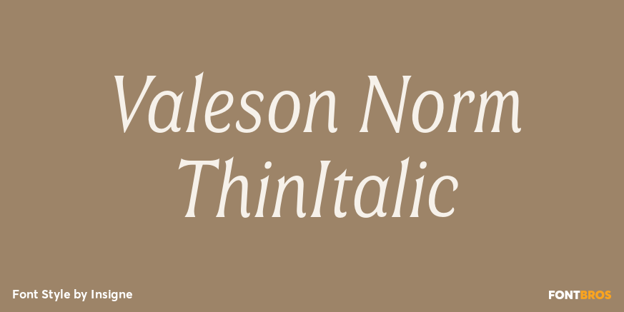Valeson Norm ThinItalic Poster