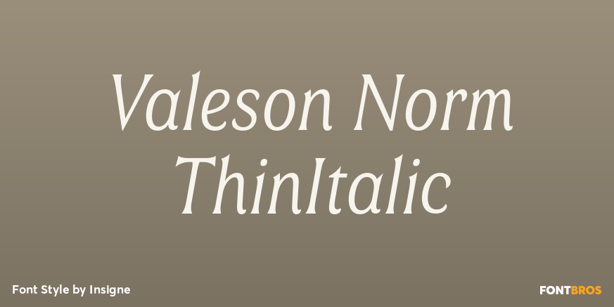 Valeson Norm ThinItalic Poster