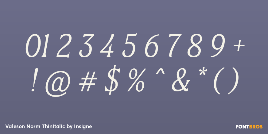 Valeson Norm ThinItalic Font Poster #1